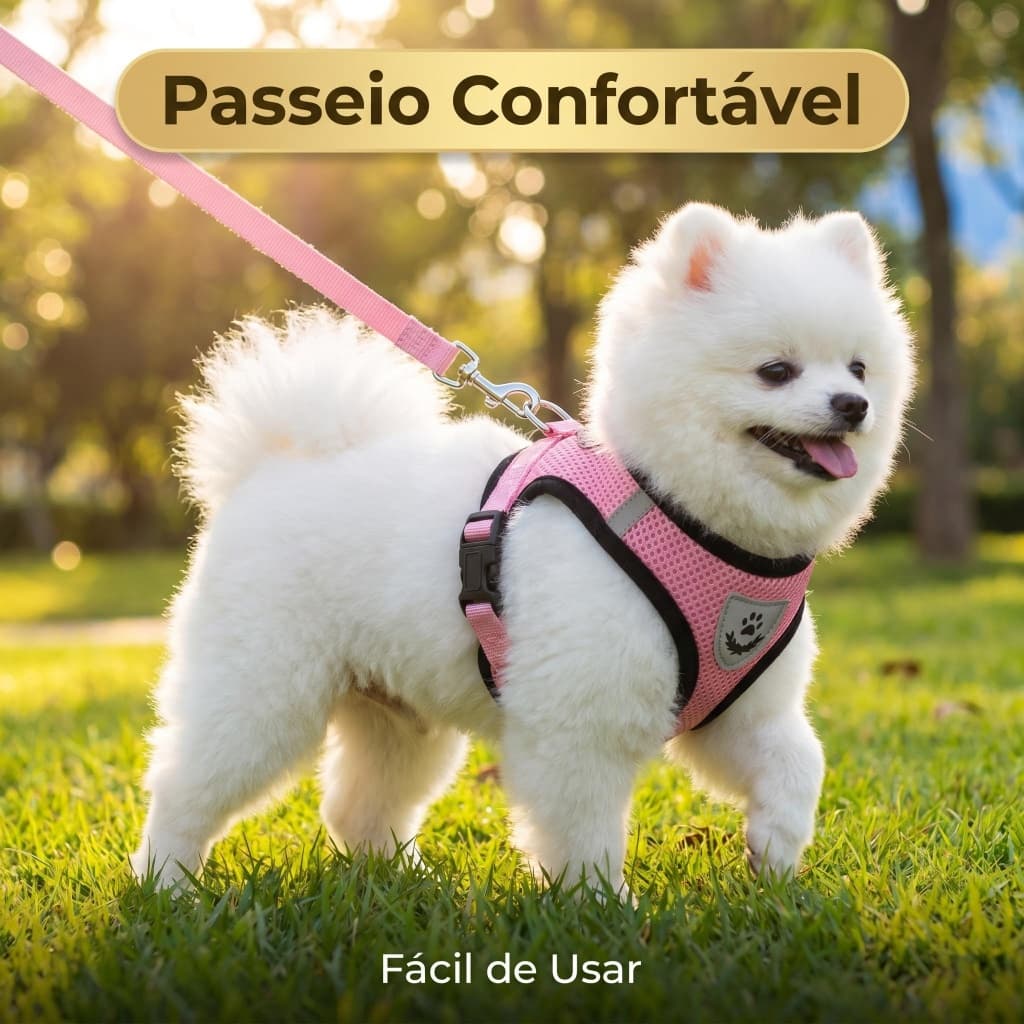 Kit Peitoral  Guia para Cachorro Passeio Diário Facilitado