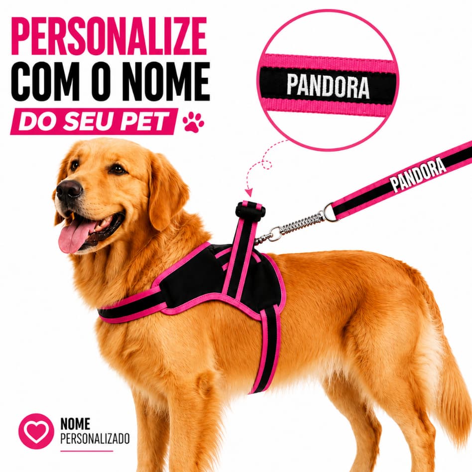 Coleira Para Cachorro Personalizada com Nome  Guia Anti Puxão Resistente