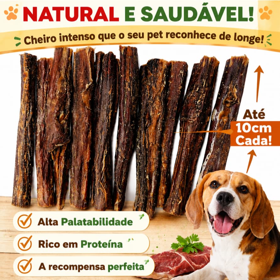 Esôfago Bovino Palito 10 unidades, Desidratado para Cachorro 100 Natural Petisco Saudável para Cães