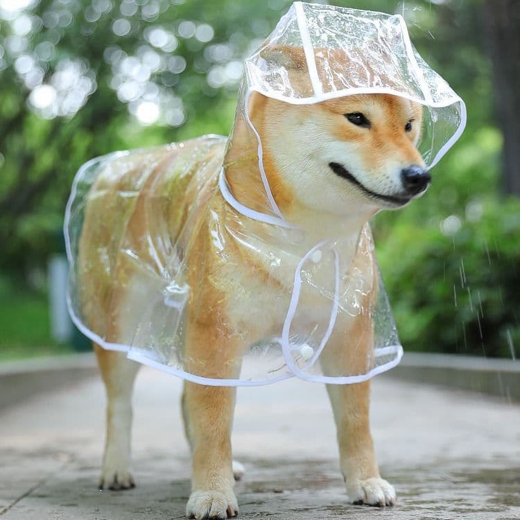 Capa Chuva Pet Impermeável Durável - Cachorro Passeio Grande Médio Pequeno Porte Proteção