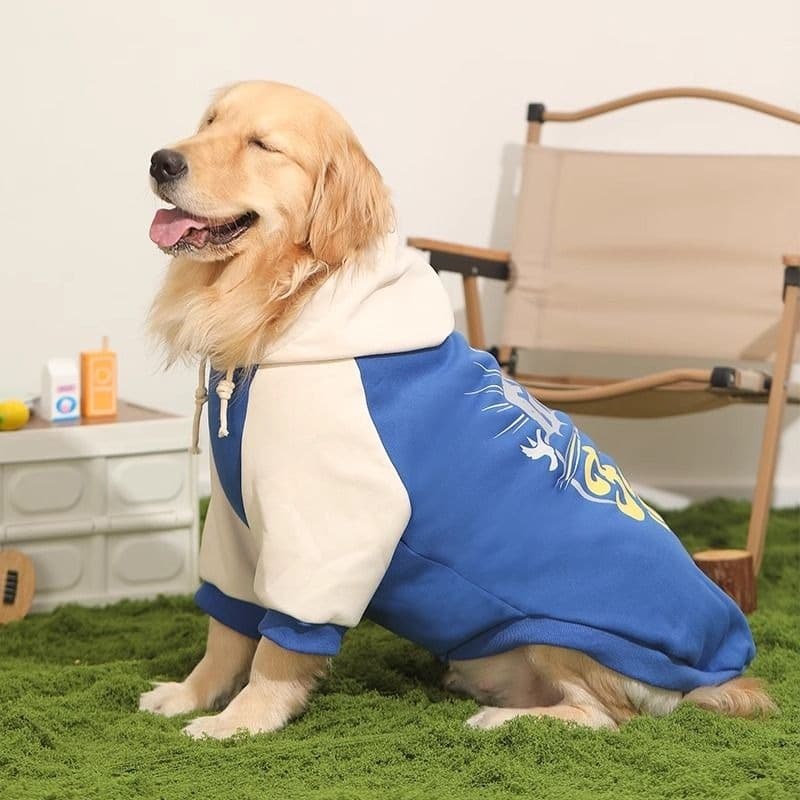 Moletom térmico com capuz antiqueda tamanho grande 1037,5 kg Golden Retriever Border Collie Labrador