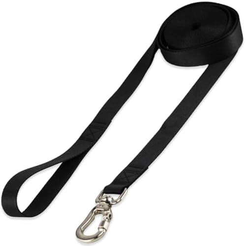 Basic Pet Coleira Guia 10 Metros Para Cães Cachorro Adestramento Passeio Porte Grande Médio Pequeno (Preto, G)