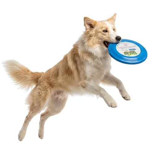 Pet Games Discão Azul - Brinquedo Interativo Frisbee Para Cães