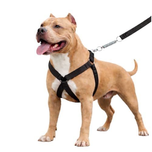 Peitoral Americano Premium para Cães Grandes, Material Super Resistente, Ajustável 360, Sistema Anti-Puxão, com Guia (Preto)