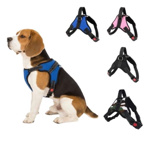Coleira Peitoral com Regulagem e Dupla Trava de Segurança para Cães e Gatos  Ideal para Cachorros Pequenos e Médios, Conforto, Ajuste Preciso e Passeios Mais Seguros (Azul)