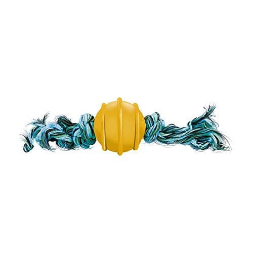 Furacão Pet Bola Maciça Colorida 50Mm Corda De 2 Nos Para Cães