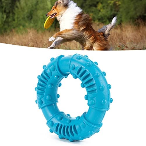 GLOGLOW Brinquedo para Cães Médios e Grandes Golden Retriever Border Collie (Azul celeste)
