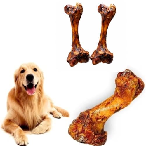 Osso Fêmur Bovino Defumado Natural para Cães Mordedor Canino Pet Com 2 Unidades