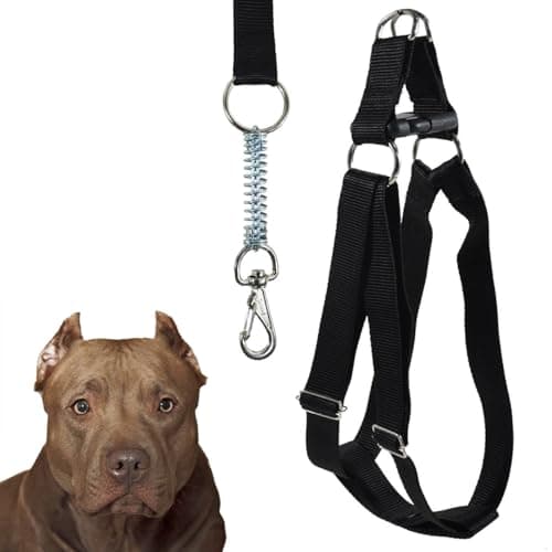 Peitoral Americano Coleira Com Guia Para Cachorro Porte Grande Resistente (Preto)