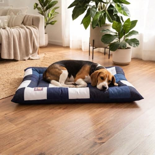 Cama Pet Grande Lavável 90x60cm para Cães e Gatos com Tecido Resistente, Espuma Macia