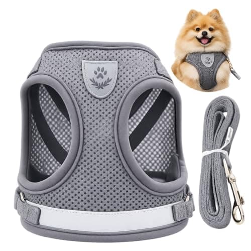 Guia Coleira Peitoral para Cachorro/cães e Gatos Pet Colete Refletivo Tam P Anti puxão  Ideal para Filhotes, Spitz Alemão, Lulu da pomerânica, Pinscher, Shi Tzu (cinza)