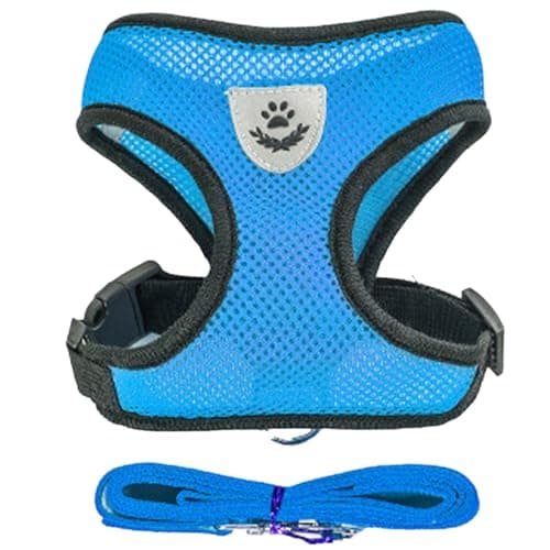 Coleira Peitoral Anti Puxão com Guia para Cães e Gatos  Ideal para Filhotes, Pinscher, Shi Tzu e Raças de Porte Pequeno a Médio  NEXUS MARKET (M, AZUL)