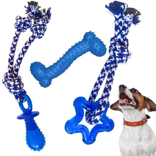 kit 3 Brinquedo mordedor para cachorros pequenos chupeta ossinho com corda pet filhotes (Azul)