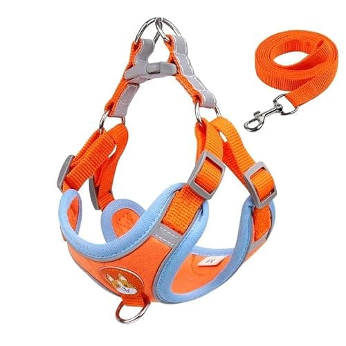 Coleira Peitoral para Cachorros e Gatos, Design Ergonômico, Faixa Reflexiva, Com Guia de Passeio (Laranja, M)