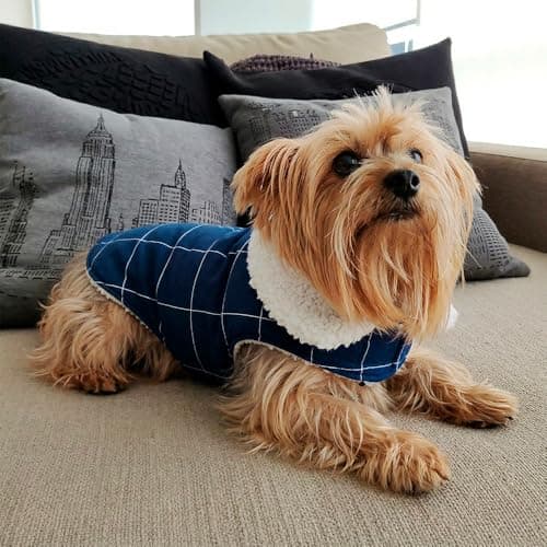 Roupa Capa Ajustável para Pet - Para Frio Inverno - Fácil de Colocar - Cães e Gatos (Marinho, 2)