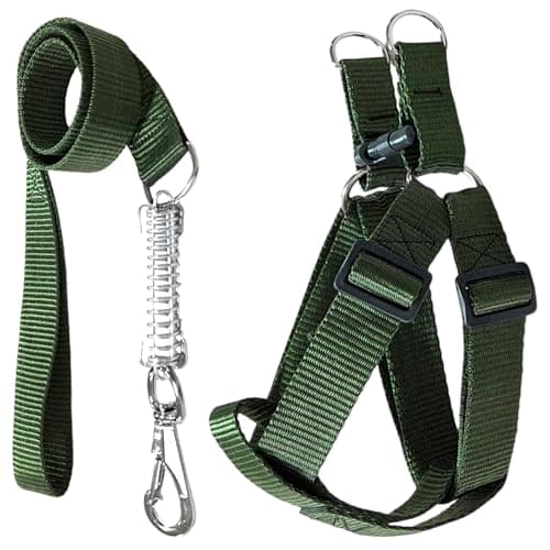 Coleira Peitoral Americano Para Cachorros Médio Grande Ajustável (Verde, M (25mm))