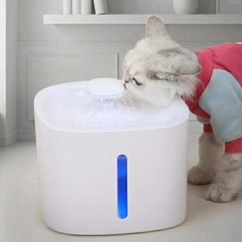 Bebedouro Automático Gatos e Cães 3 Litros, Silencioso, Luz Noturna, Premium