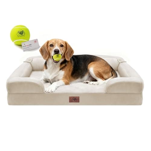 Camas ortopédicas para cães grandes e médios, sofá-cama grande de espuma viscoelástica impermeável com capa lavável removível, brinquedo de bola de tênis, 91 x 69 cm