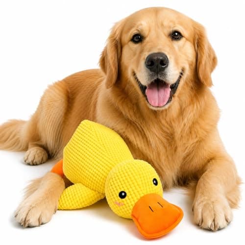 Brinquedo de Pelúcia Pato para Cachorro, Macio, Resistente, Lavável, Interativo, Ideal para Cães de Todos os Portes (M)