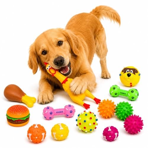 Kit 5 Brinquedos Mordedores Interativos para Cachorro
