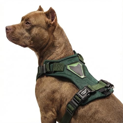 Peitoral H para Cães, Antipuxão com 2 Pontos de Engate, Ajustável Tamanhos P/M/G, para Passeio e Adestramento Cães pequeno Médio e Grande porte (VERDE MILITAR, G)