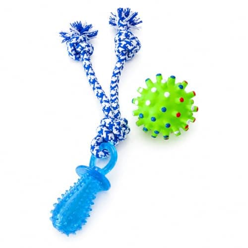 Kit Brinquedos para Cachorro Mordedor com Corda e Bola Espinhada