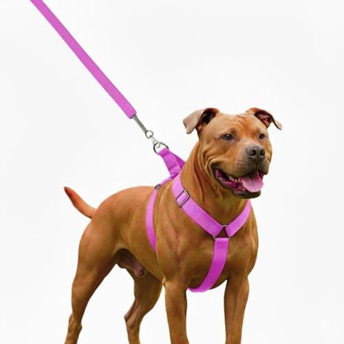 Peitoral Americano Premium para Cães Grandes, Material Super Resistente, Ajustável 360, Sistema Anti-Puxão, com Guia (Rosa)