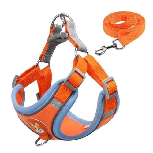 Colete Peitoral para Cachorro com Guia, Refletivo, Tecido Suede Camurça, Acabamento Premium, Conforto e Estilo (LARANJA, G)