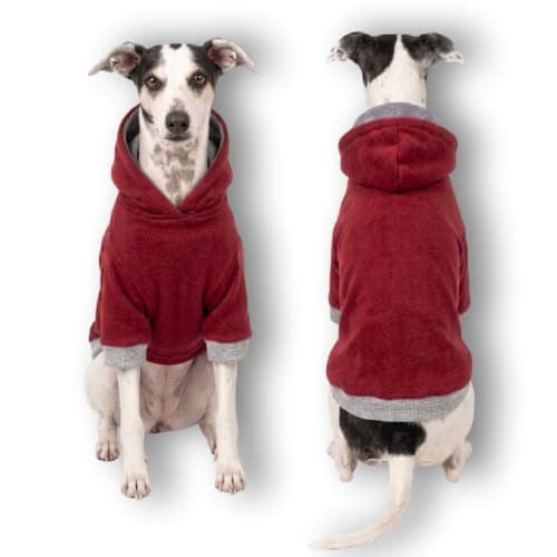Moletom Básico Com Capuz para Cachorro