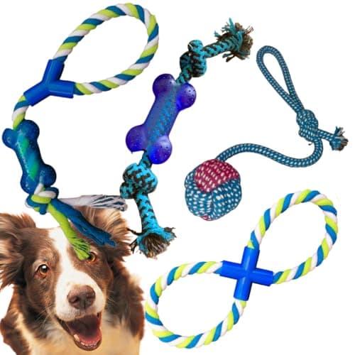 Kit 4 brinquedos para cachorro Mordedor puxador Bola Corda (Azul)
