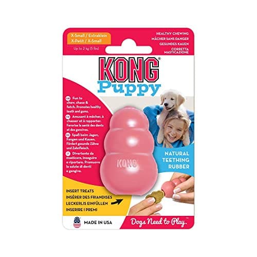 KONG - Brinquedo de borracha natural para dentição - Divertido para mastigar, perseguir e buscar - para filhotes extra pequenos - azul
